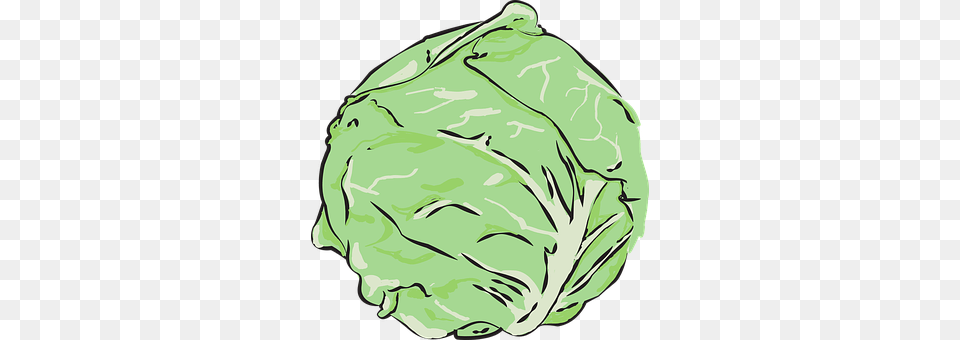 Cabbage Vegetable, Produce, Plant, Leafy Green Vegetable Free Transparent Png