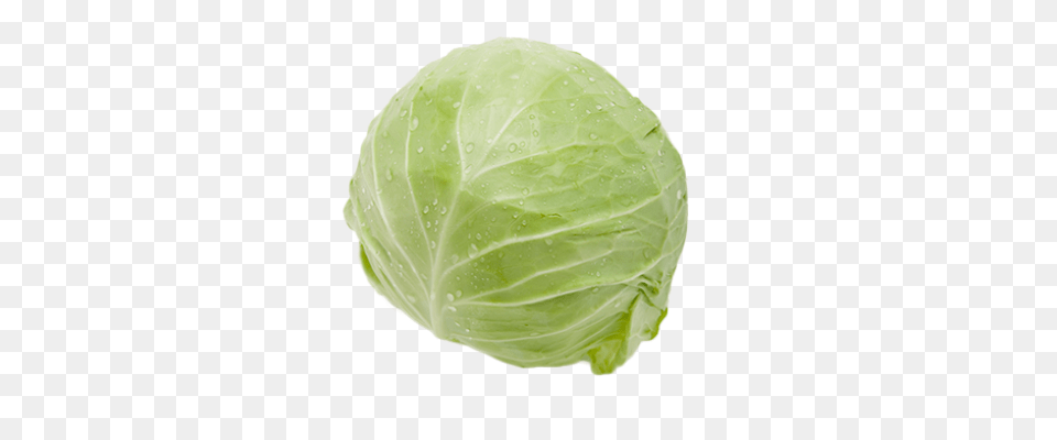 Cabbage, Food, Leafy Green Vegetable, Plant, Produce Free Transparent Png