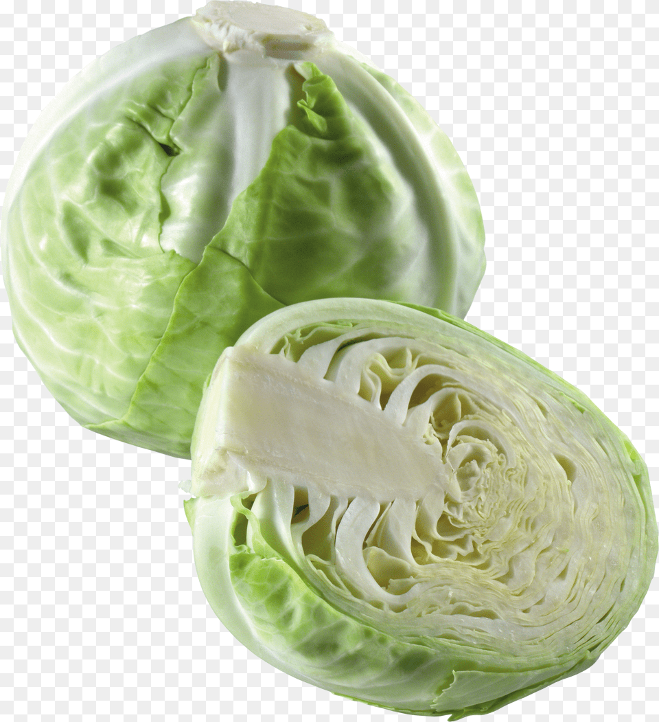 Cabbage, Advertisement, Adult, Female, Person Png