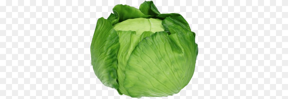 Cabbage Artificial Iceburg Lettuce, Vegetable, Produce, Plant, Leafy Green Vegetable Png Image