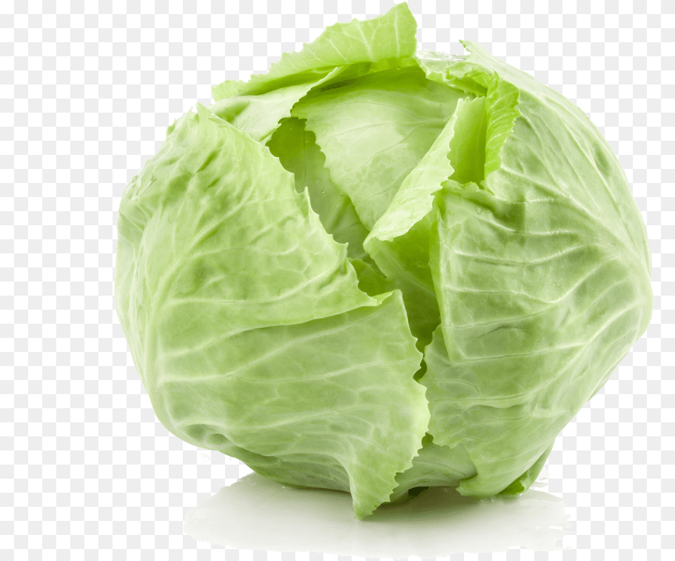 Cabbage Background Image Cabbage, Food, Leafy Green Vegetable, Plant, Produce Png