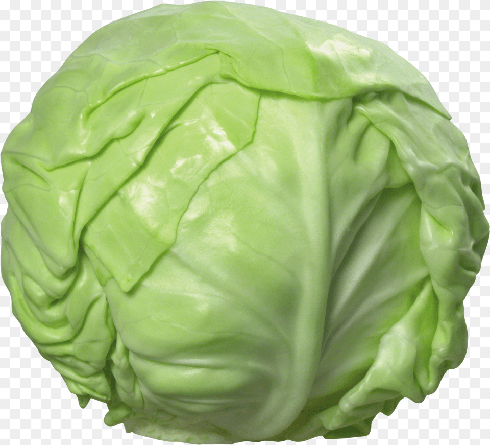 Cabbage Cabbage Free Transparent Png