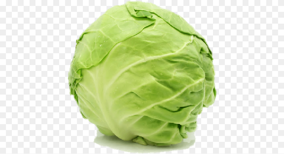 Cabbage Cabbage, Food, Leafy Green Vegetable, Plant, Produce Png