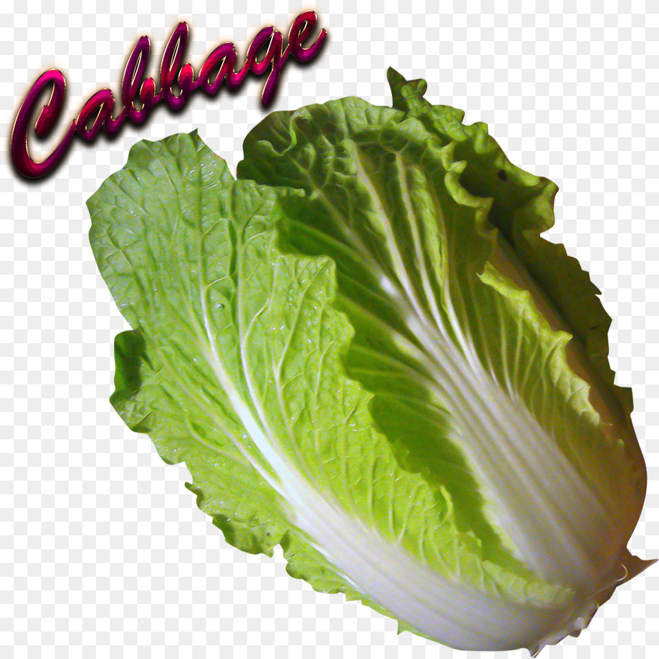 Cabbage Cabbage Full Size Collard Greens, Food, Plant, Produce, Lettuce Png
