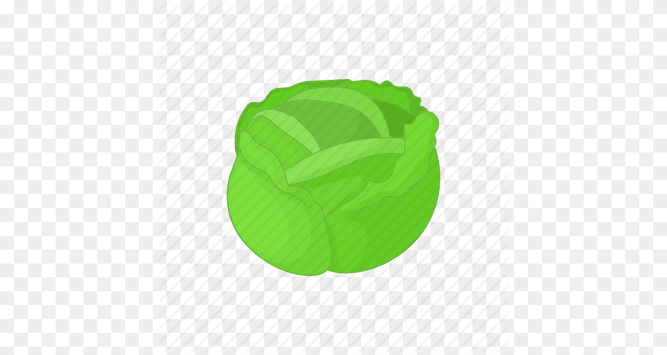 Cabbage Cartoon Food Fresh Healthy Organic Vegetable Icon, Ball, Tennis Ball, Tennis, Sport Png