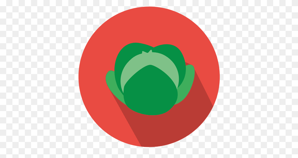 Cabbage Circle Icon, Green, Food, Produce, Leafy Green Vegetable Free Transparent Png