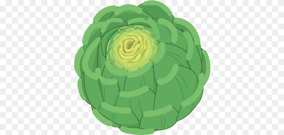 Cabbage Clip Art Artichoke, Food, Produce, Green, Ammunition Free Png