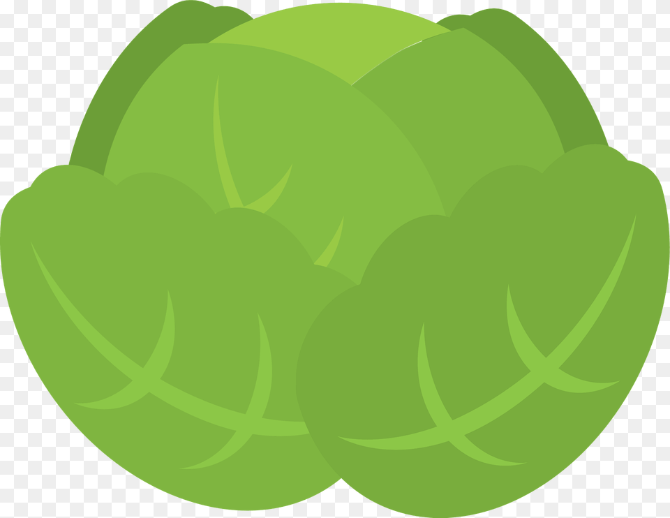 Cabbage Clipart, Green, Food, Produce Free Transparent Png
