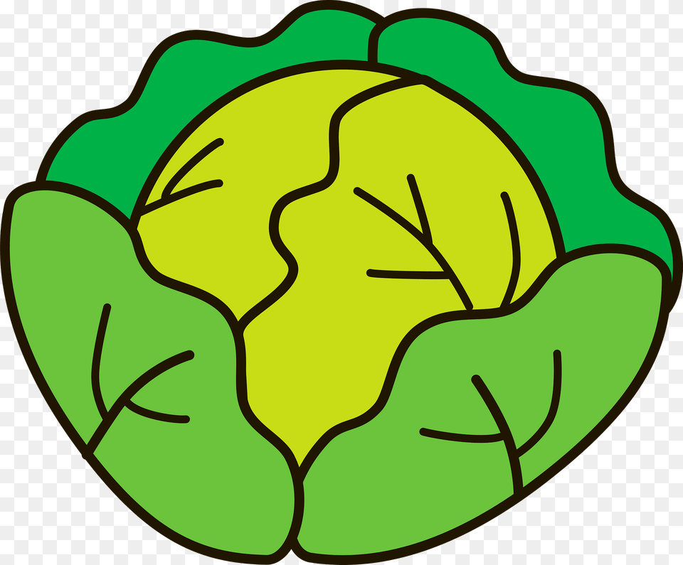 Cabbage Clipart, Food, Produce, Leafy Green Vegetable, Plant Png