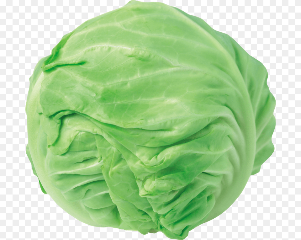 Cabbage Clipart, Food, Leafy Green Vegetable, Plant, Produce Free Transparent Png