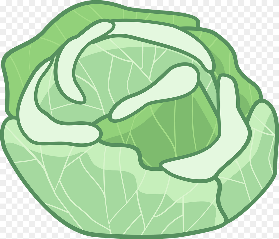 Cabbage Clipart, Leafy Green Vegetable, Food, Vegetable, Head Cabbage Png Image