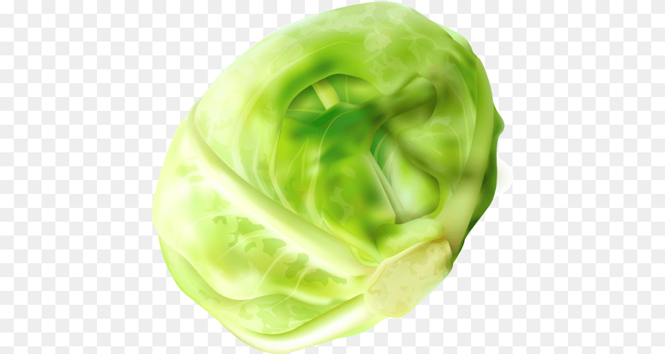 Cabbage Clipart Download Searchpng Brussel Sprout, Food, Produce, Leafy Green Vegetable, Plant Png Image