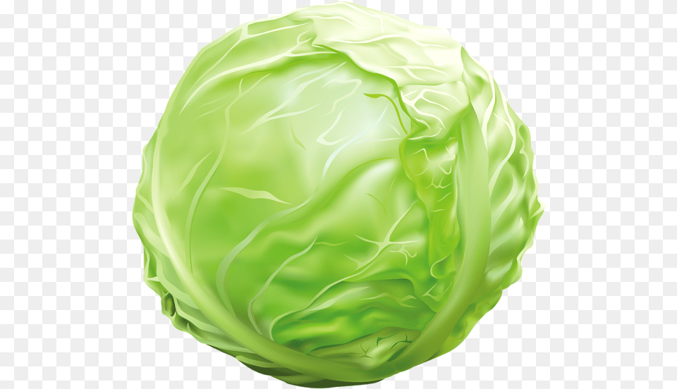Cabbage Clipart Image Graphics Images Cabbage Clipart, Food, Leafy Green Vegetable, Plant, Produce Free Png