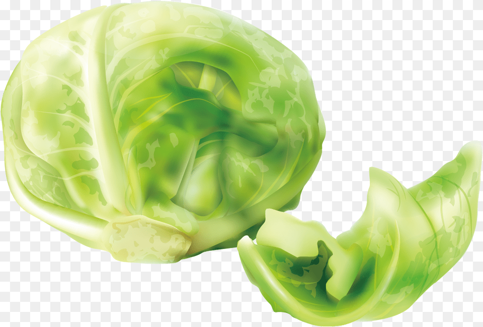 Cabbage Cruciferous Vegetables Lettuce Cabbage Clipart Kisspng, Food, Produce, Leafy Green Vegetable, Plant Png Image