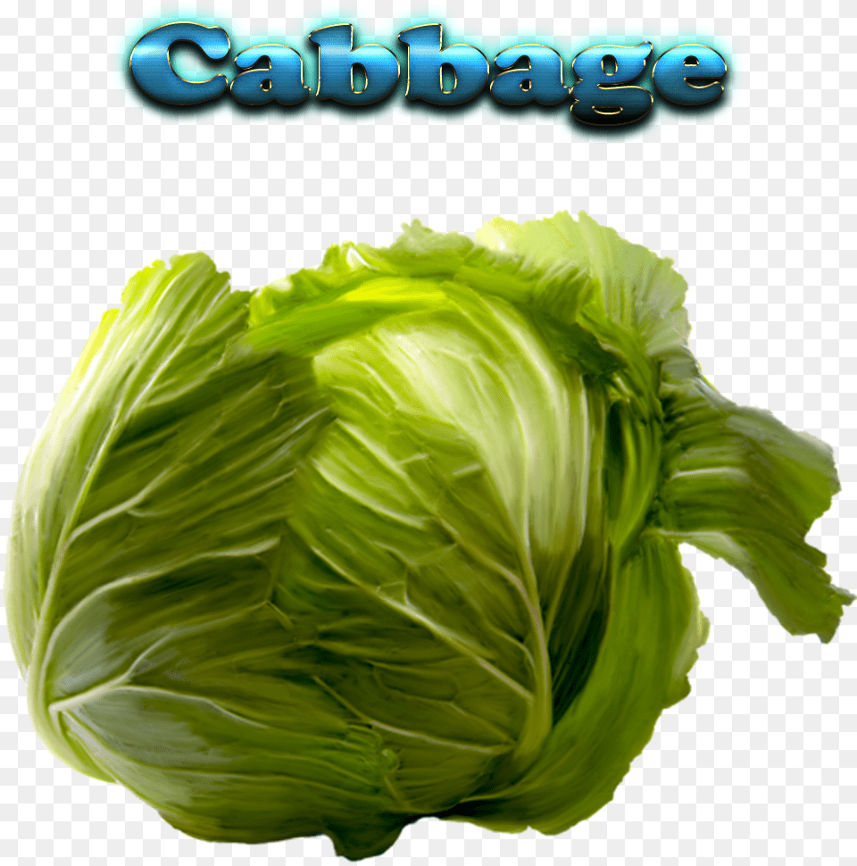Cabbage Download Cabbage With Name, Food, Leafy Green Vegetable, Plant, Produce Png