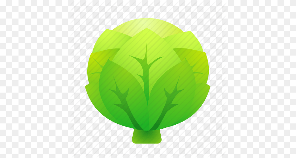 Cabbage Food Green Health Organic Icon, Leaf, Plant, Sphere, Leafy Green Vegetable Free Transparent Png