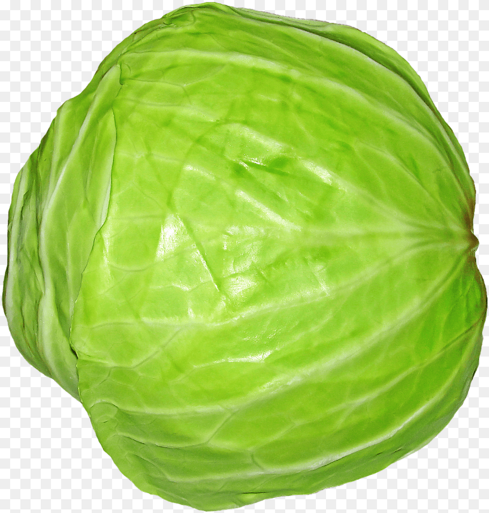 Cabbage For Cabbage Transparent, Food, Leafy Green Vegetable, Plant, Produce Free Png Download