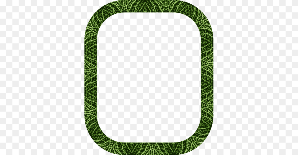 Cabbage Frame, Green, Leaf, Plant, Home Decor Png