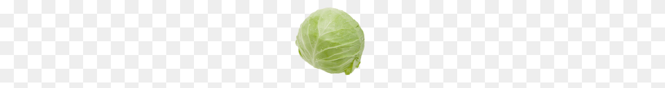 Cabbage Download, Food, Leafy Green Vegetable, Plant, Produce Free Png