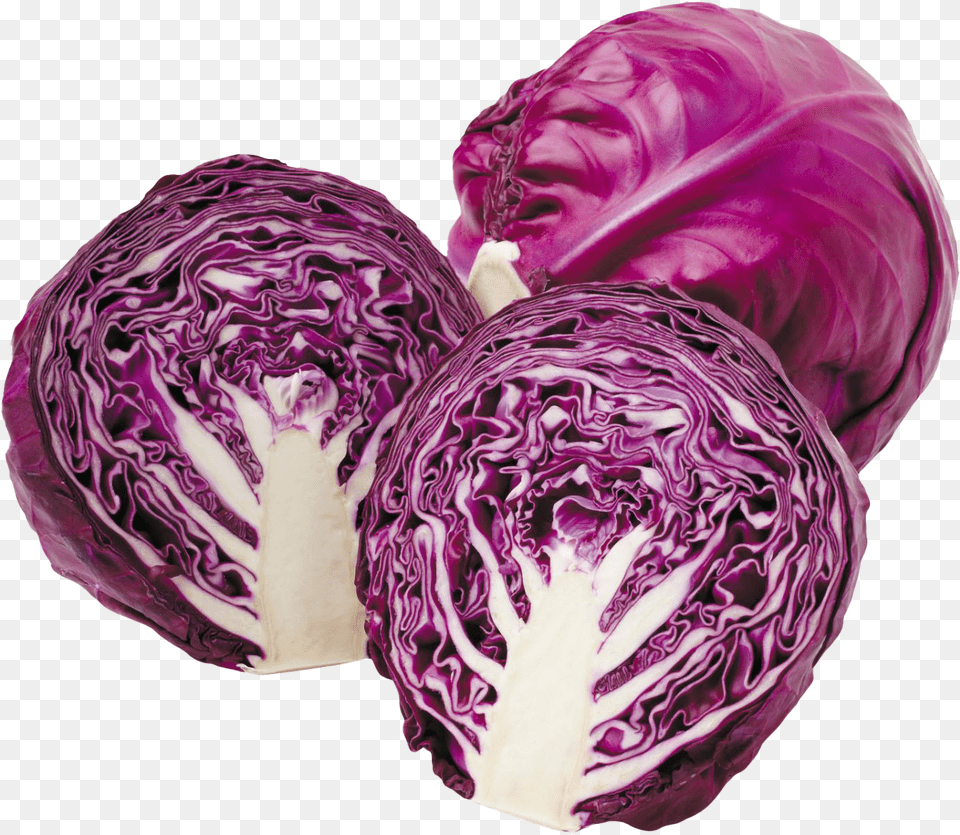 Cabbage Free File Download Red Cabbage, Food, Leafy Green Vegetable, Plant, Produce Png Image