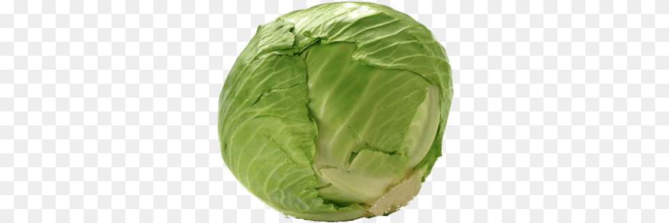 Cabbage Green Cabbage Price, Birthday Cake, Produce, Plant, Leafy Green Vegetable Free Png Download