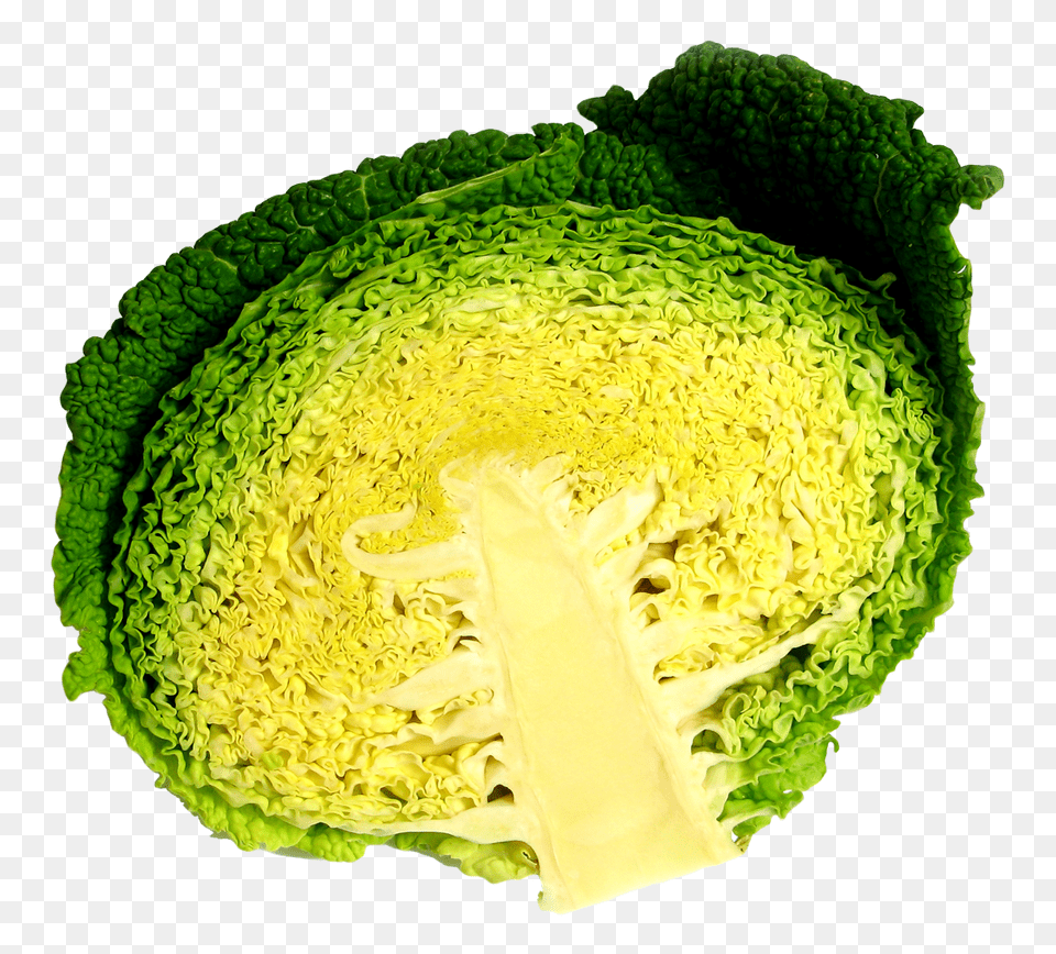 Cabbage Half Image, Vegetable, Produce, Plant, Leafy Green Vegetable Free Transparent Png
