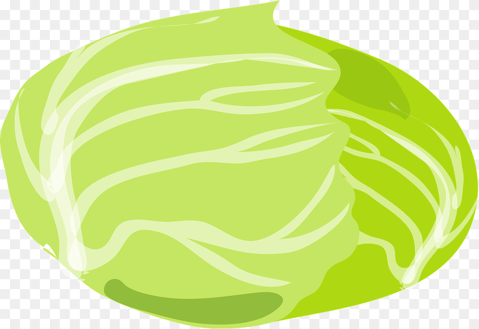 Cabbage Head Clipart, Food, Leafy Green Vegetable, Plant, Produce Free Png