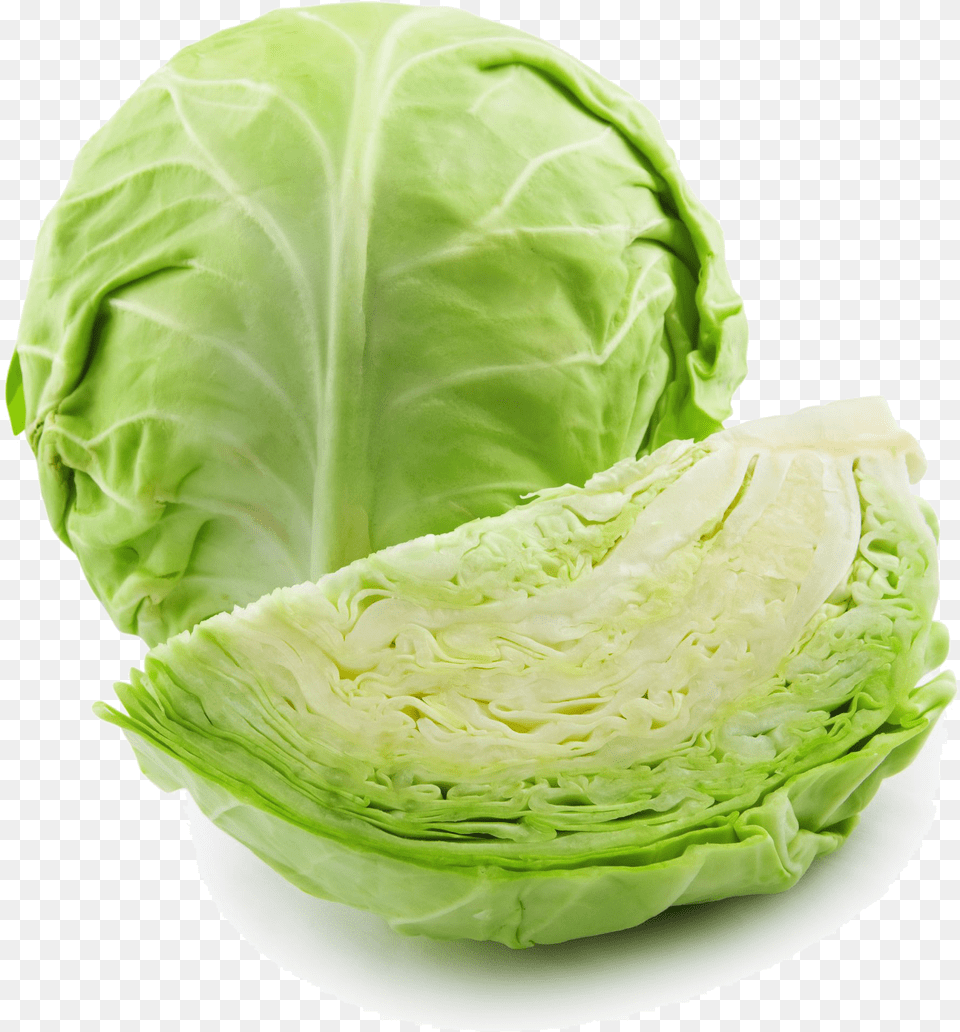 Cabbage High Quality Cabbage, Birthday Cake, Produce, Plant, Leafy Green Vegetable Png Image