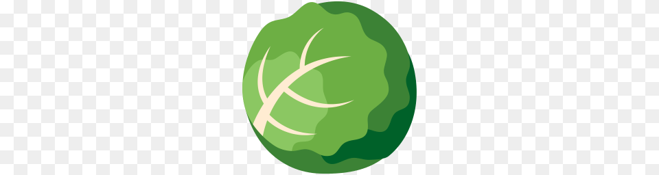 Cabbage Icon Myiconfinder, Green, Food, Produce, Sphere Free Png Download