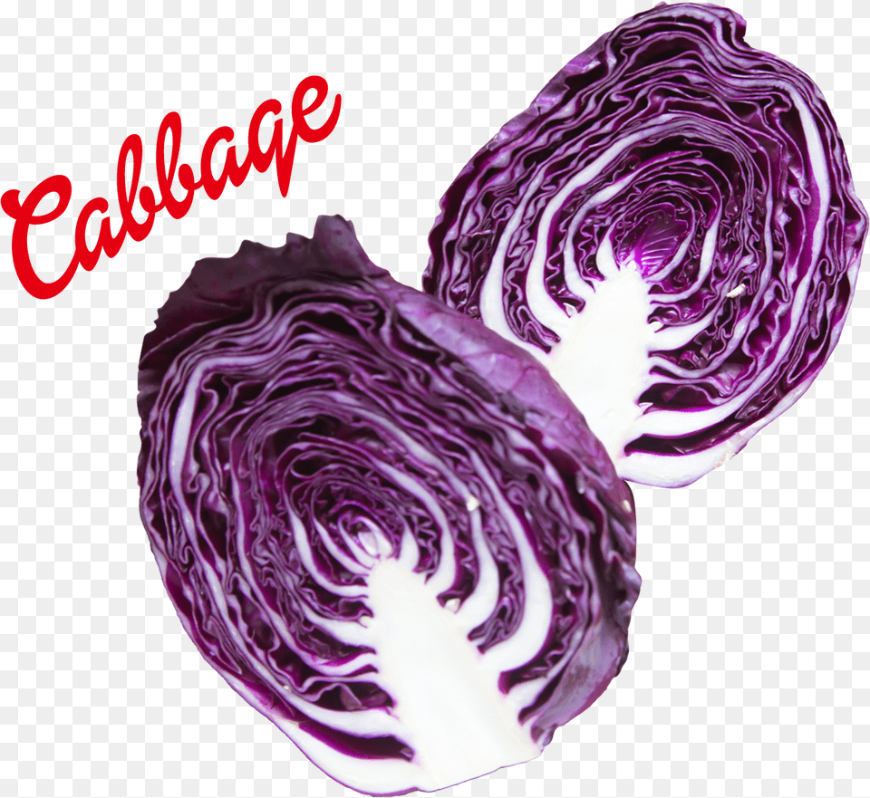 Cabbage Image, Food, Leafy Green Vegetable, Plant, Produce Png