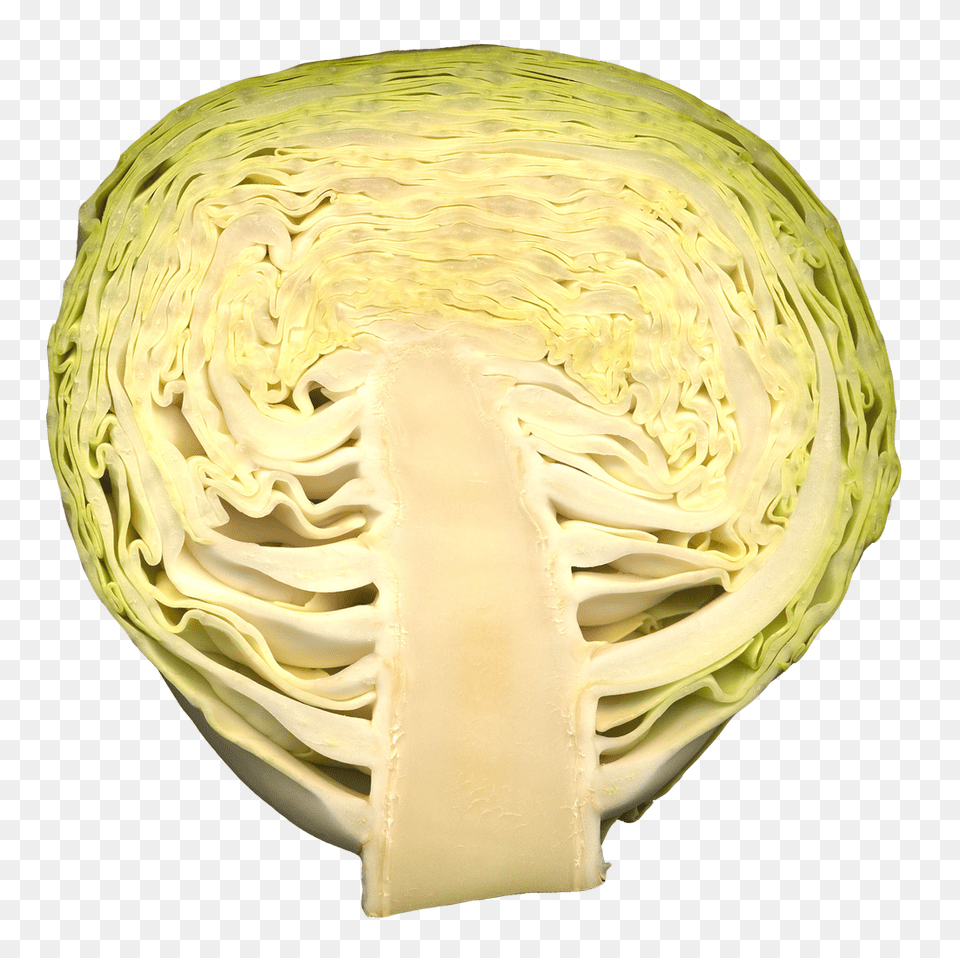 Cabbage Image, Leafy Green Vegetable, Vegetable, Food, Produce Free Transparent Png