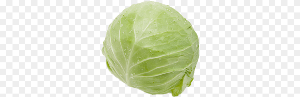 Cabbage Image Cabbage, Food, Leafy Green Vegetable, Plant, Produce Free Transparent Png