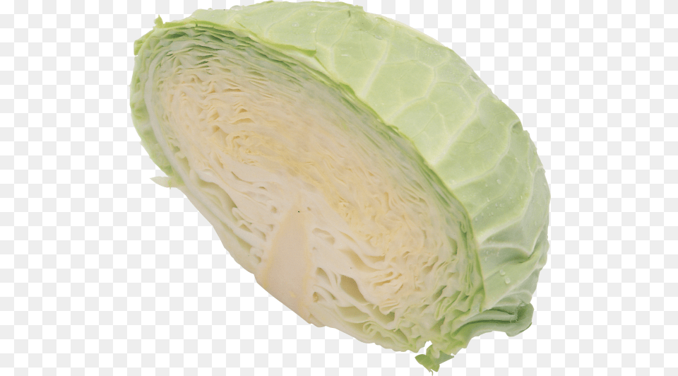 Cabbage Image Download Image With Cabbage, Food, Leafy Green Vegetable, Plant, Produce Free Transparent Png