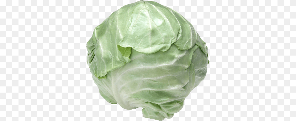 Cabbage Download With Cabbage Flower Seeds Vegetable Seeds 100 Particles, Food, Leafy Green Vegetable, Plant, Produce Png Image