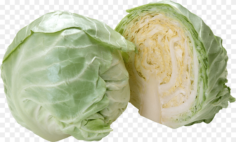 Cabbage Image Transparent Cabbage, Food, Leafy Green Vegetable, Plant, Produce Png