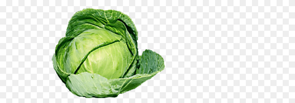 Cabbage Images Transparent Download, Food, Leafy Green Vegetable, Plant, Produce Free Png