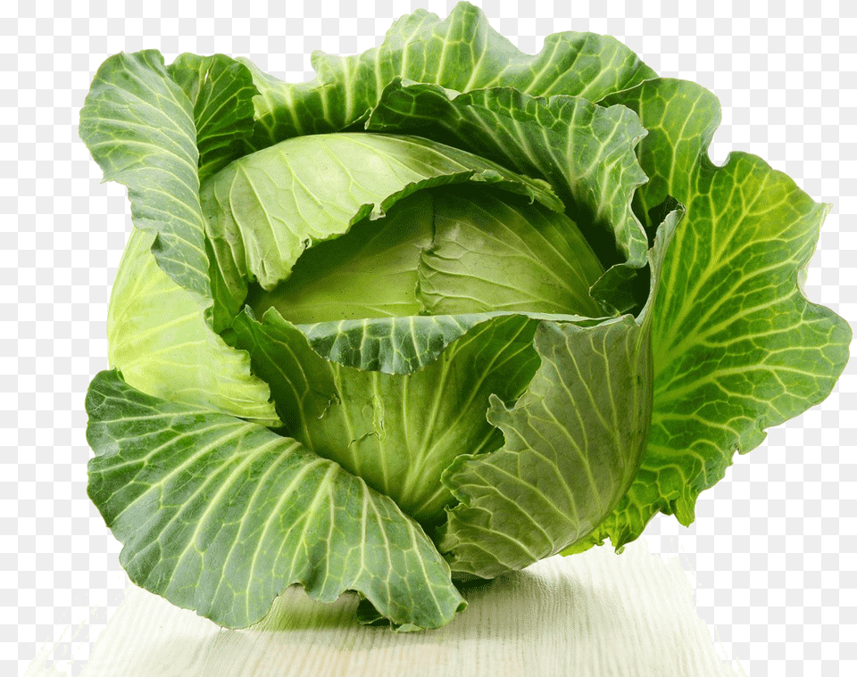 Cabbage Kapusta Gif, Food, Leafy Green Vegetable, Plant, Produce Png Image