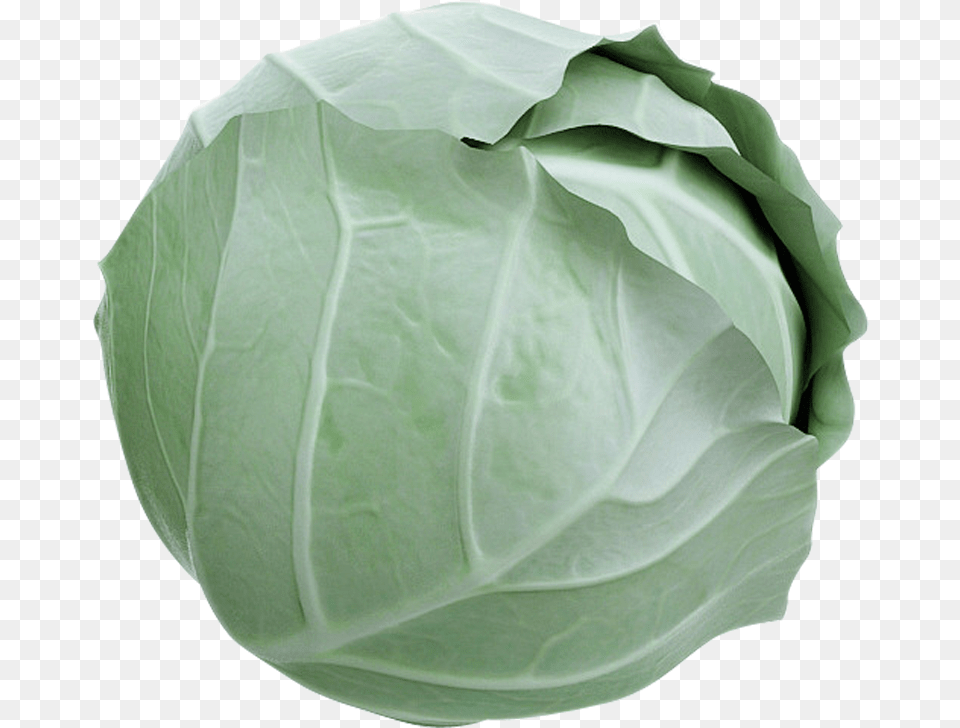 Cabbage Lettuce Fbx, Food, Leafy Green Vegetable, Plant, Produce Png