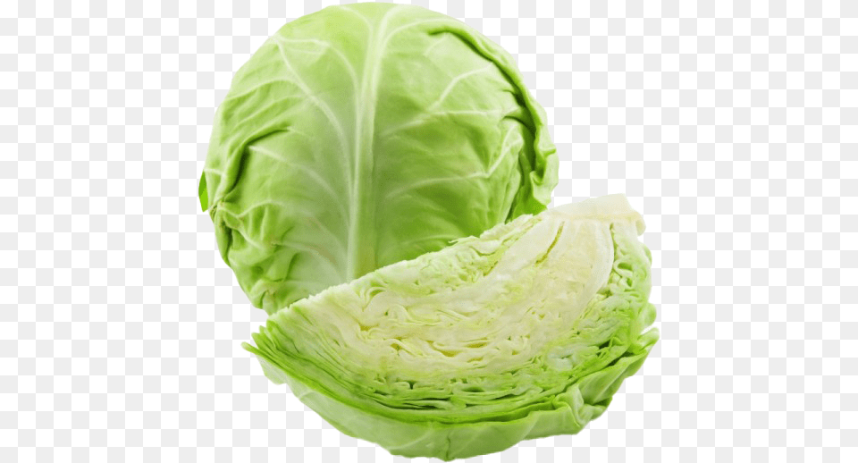 Cabbage Photos Green Cabbage, Food, Leafy Green Vegetable, Plant, Produce Png Image