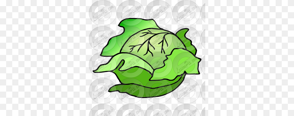 Cabbage Picture For Classroom Therapy Use, Food, Produce, Leafy Green Vegetable, Plant Free Png