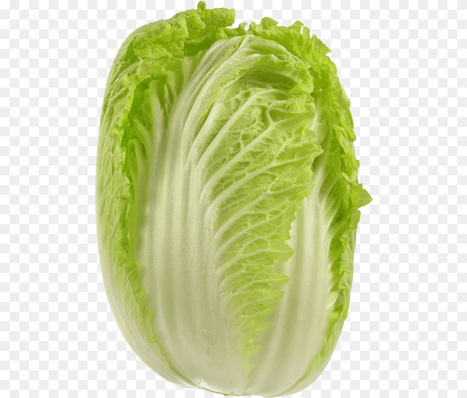 Cabbage Picture Wong Bok Cabbage, Food, Produce, Leafy Green Vegetable, Plant Free Transparent Png