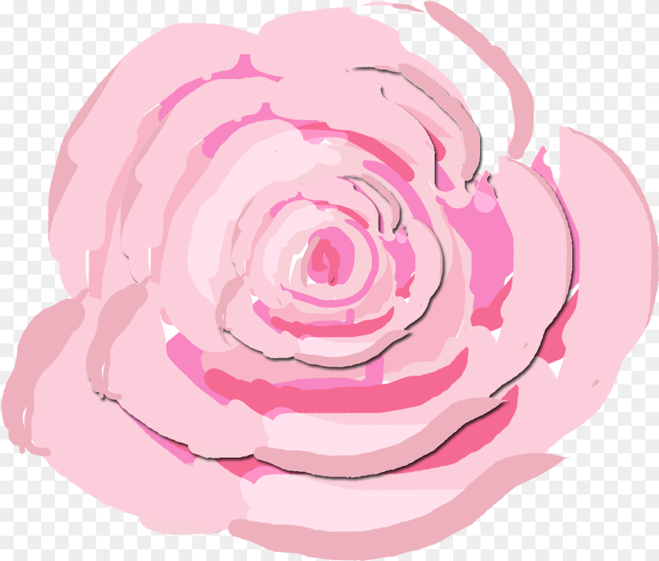 Cabbage Roses Painting, Flower, Plant, Rose, Petal Png Image