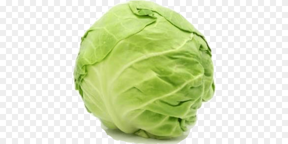 Cabbage Round, Food, Leafy Green Vegetable, Plant, Produce Free Png Download