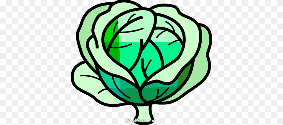Cabbage Royalty Vector Clip Art Illustration, Leafy Green Vegetable, Vegetable, Food, Produce Free Transparent Png