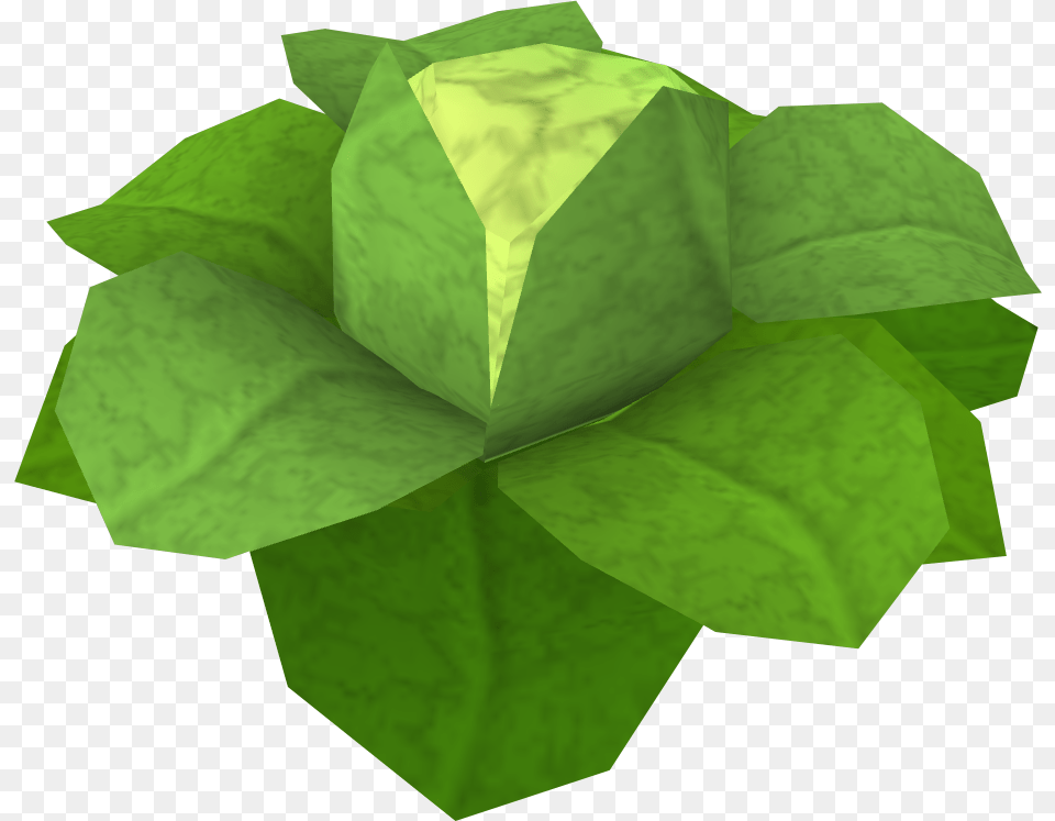 Cabbage Rs, Food, Leafy Green Vegetable, Plant, Produce Png