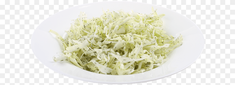 Cabbage Salad Cabbage, Food, Leafy Green Vegetable, Plant, Plate Free Png Download