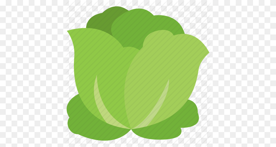 Cabbage Salad Vegetable Icon, Food, Green, Produce, Leafy Green Vegetable Free Png Download