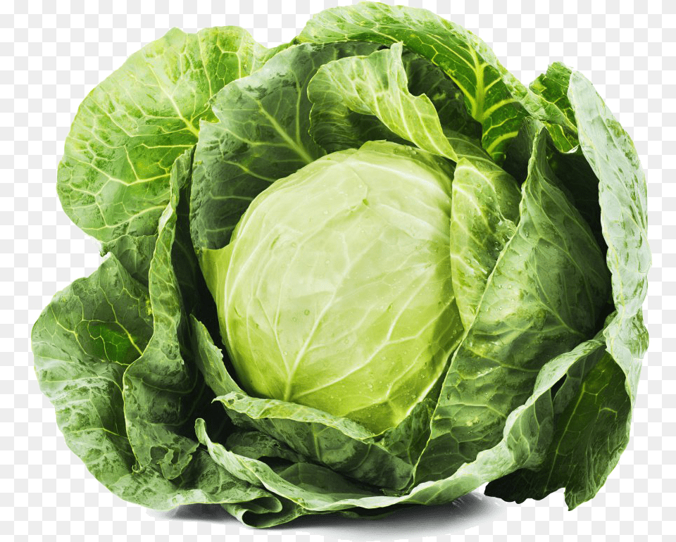 Cabbage Transparent Food, Leafy Green Vegetable, Plant, Produce Png Image