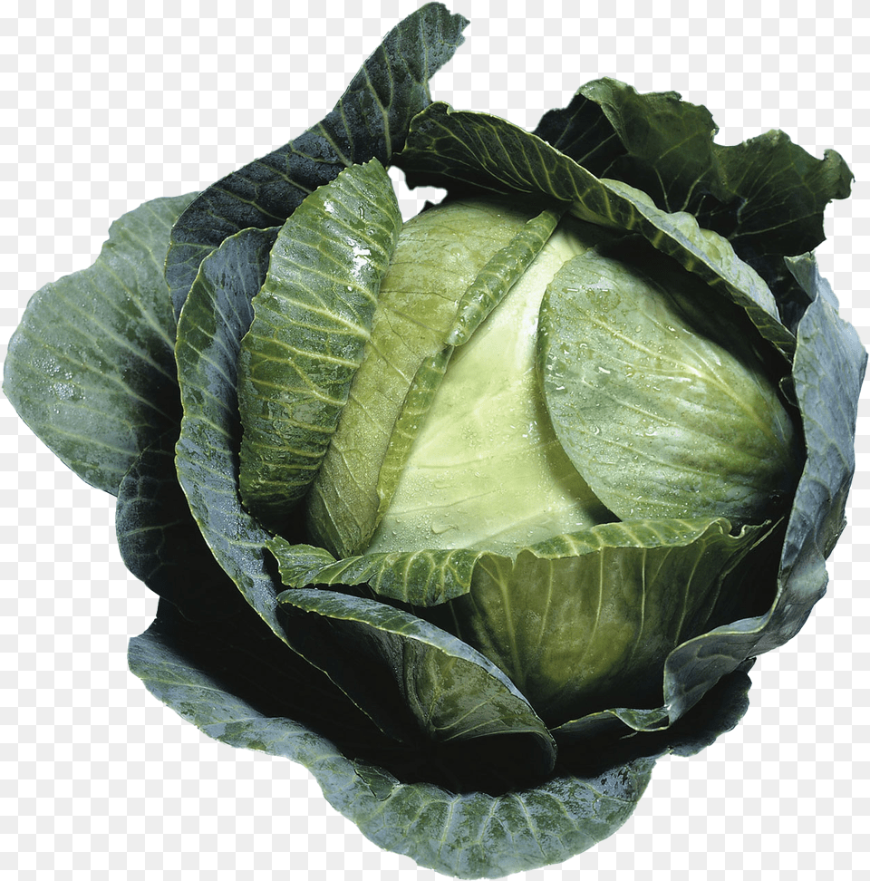 Cabbage Transparent Images Kara Lahana, Food, Leafy Green Vegetable, Plant, Produce Free Png