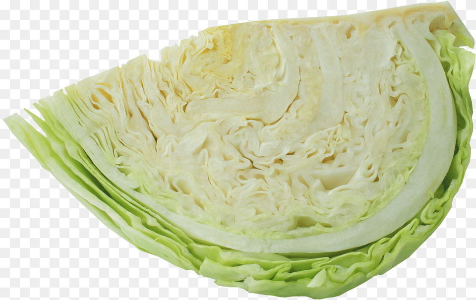 Cabbage Vegetables Napa Cabbage Veggies Cabbages Cabbage, Food, Leafy Green Vegetable, Plant, Produce Png Image